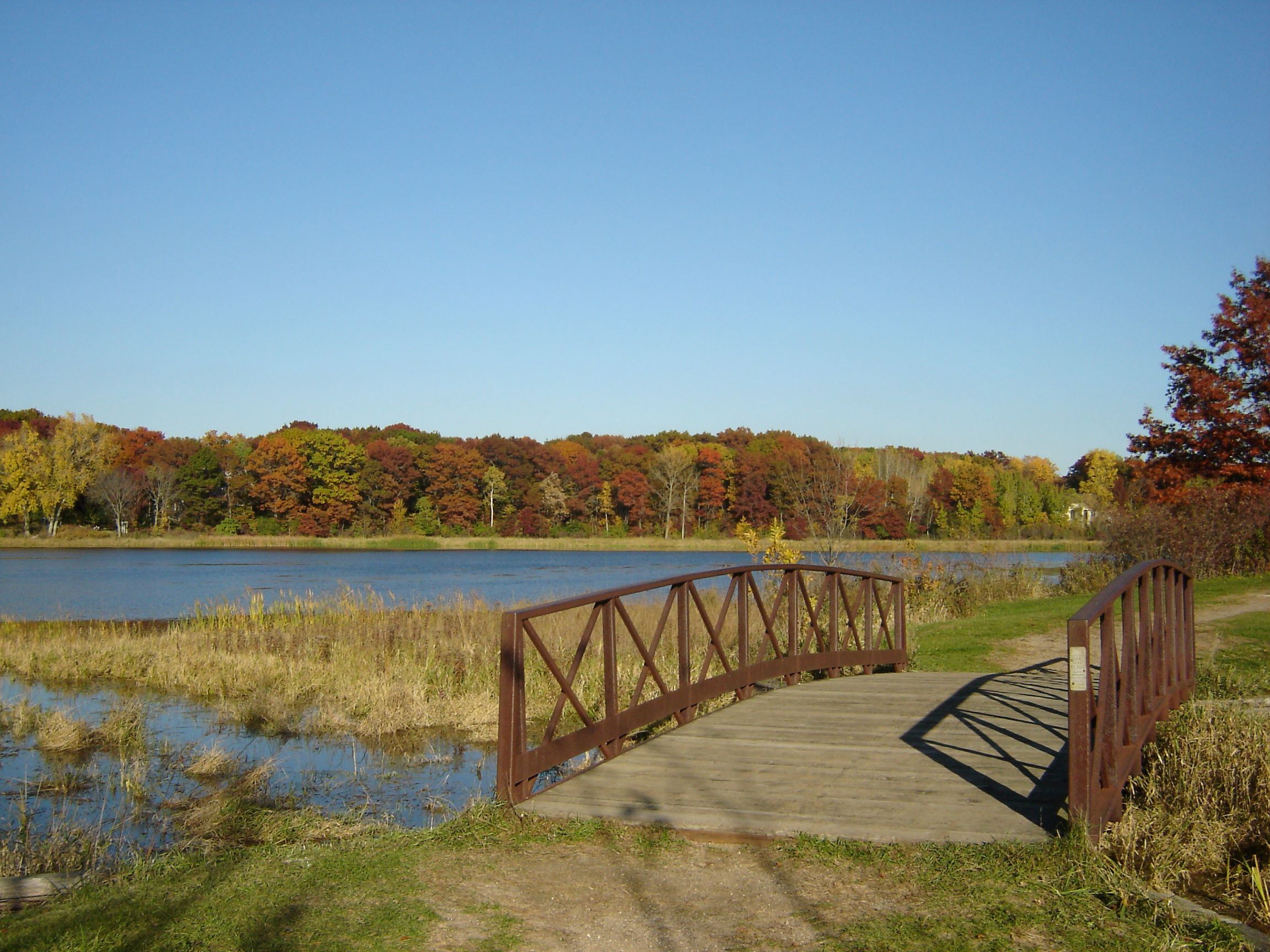 Ritter Farm Park Bridge